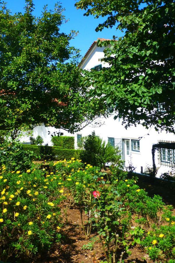 Bed and Breakfast Comfy Sintra Exterior foto